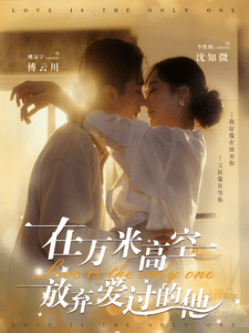 在万米高空放弃爱过的他全集