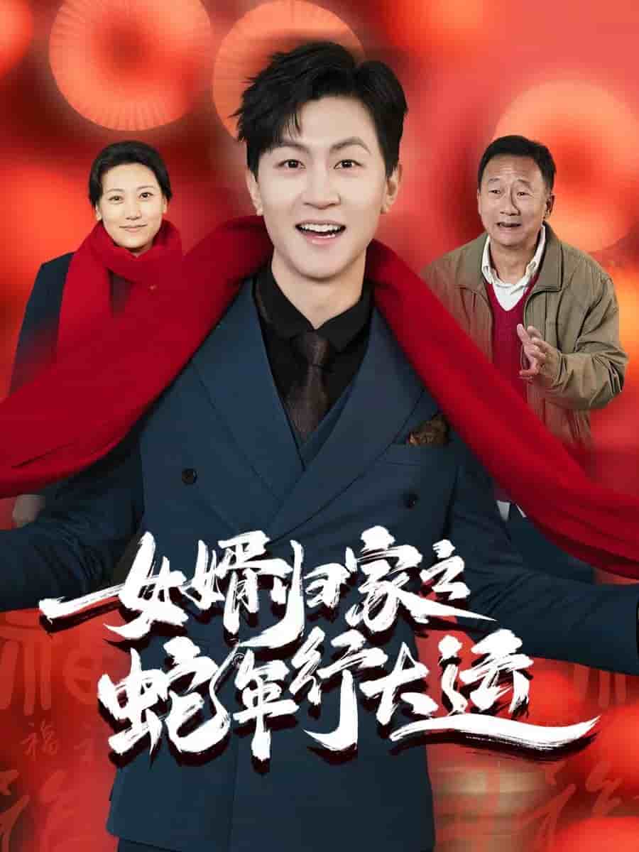 女婿归家之蛇年行大运全集