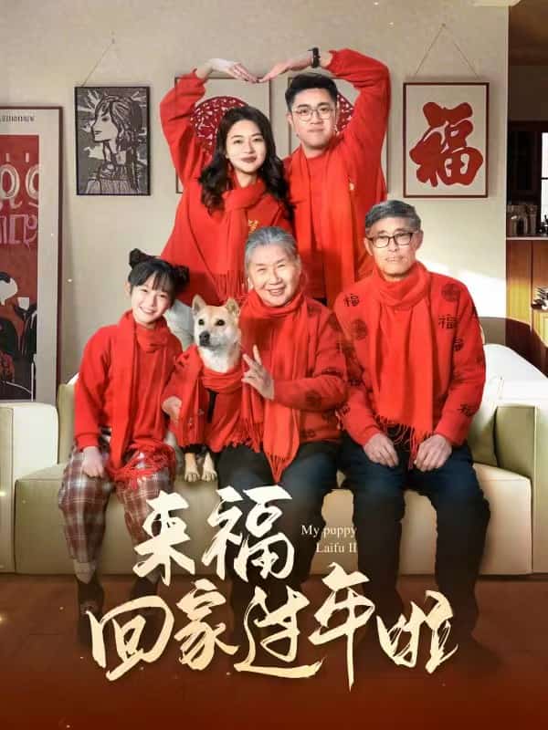 来福回家过年啦全集