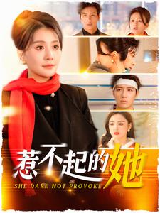 惹不起的她全集