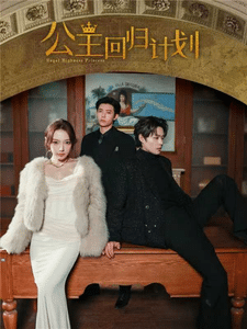 公主回归计划全集