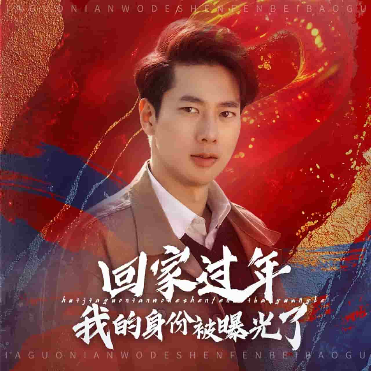 回家过年我的身份被曝光了全集