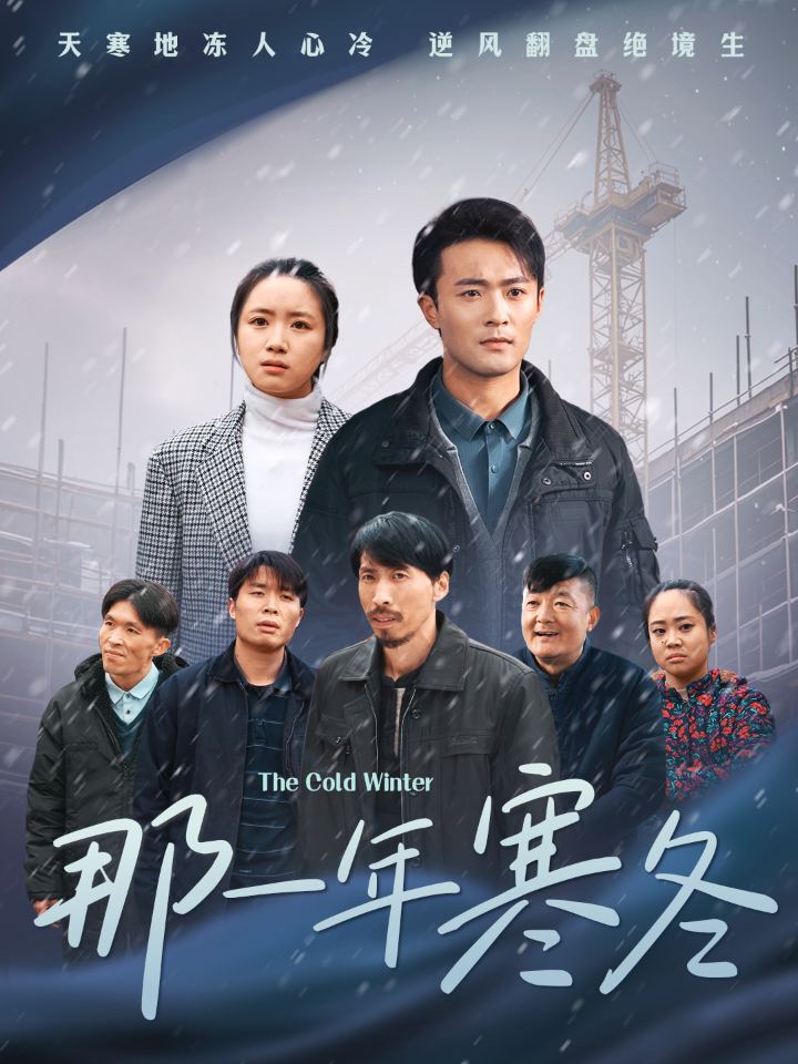 那一年寒冬全集