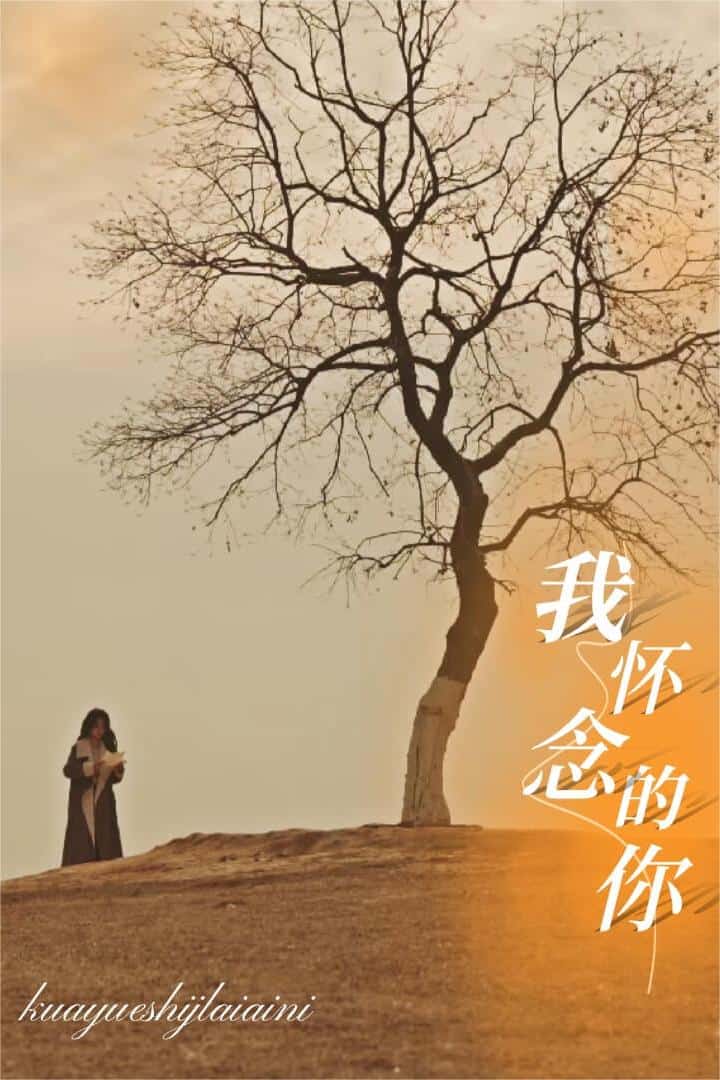 跨越时间来爱你全集