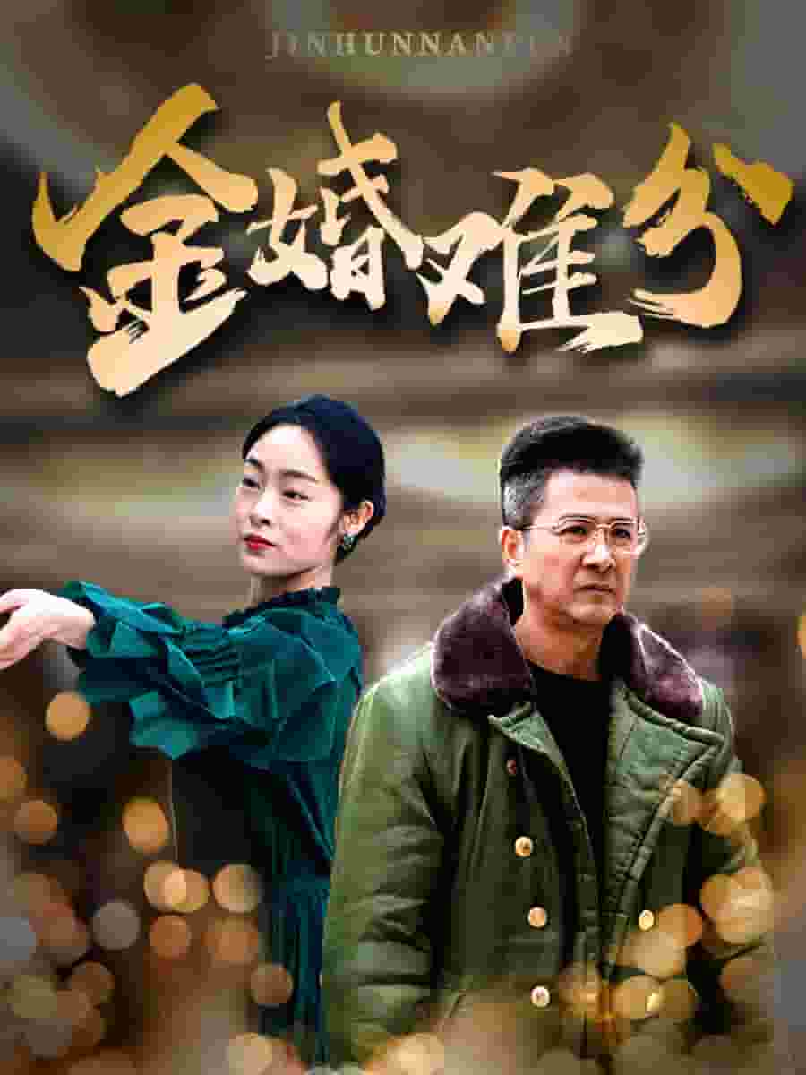 金婚难分全集
