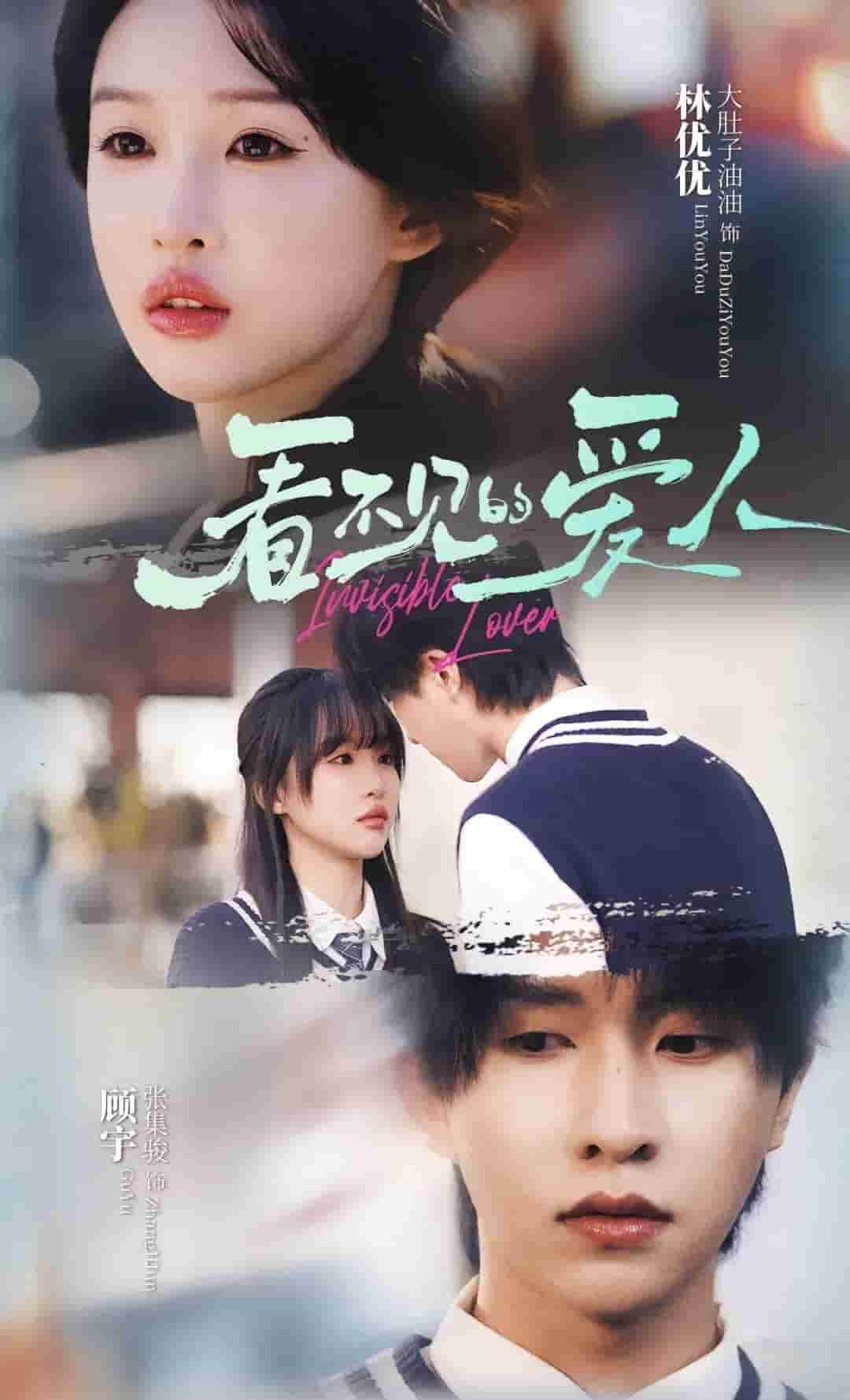 看不见的爱人全集