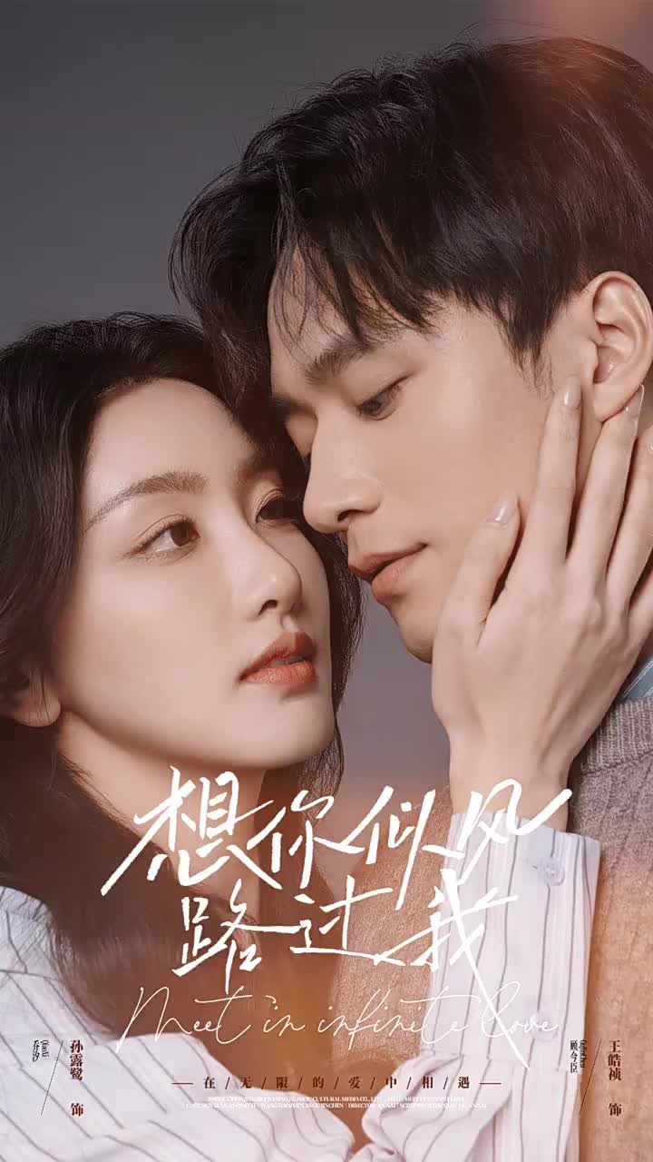 想你似风路过我全集