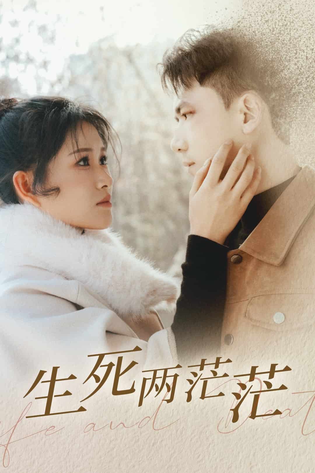 生死两茫茫全集