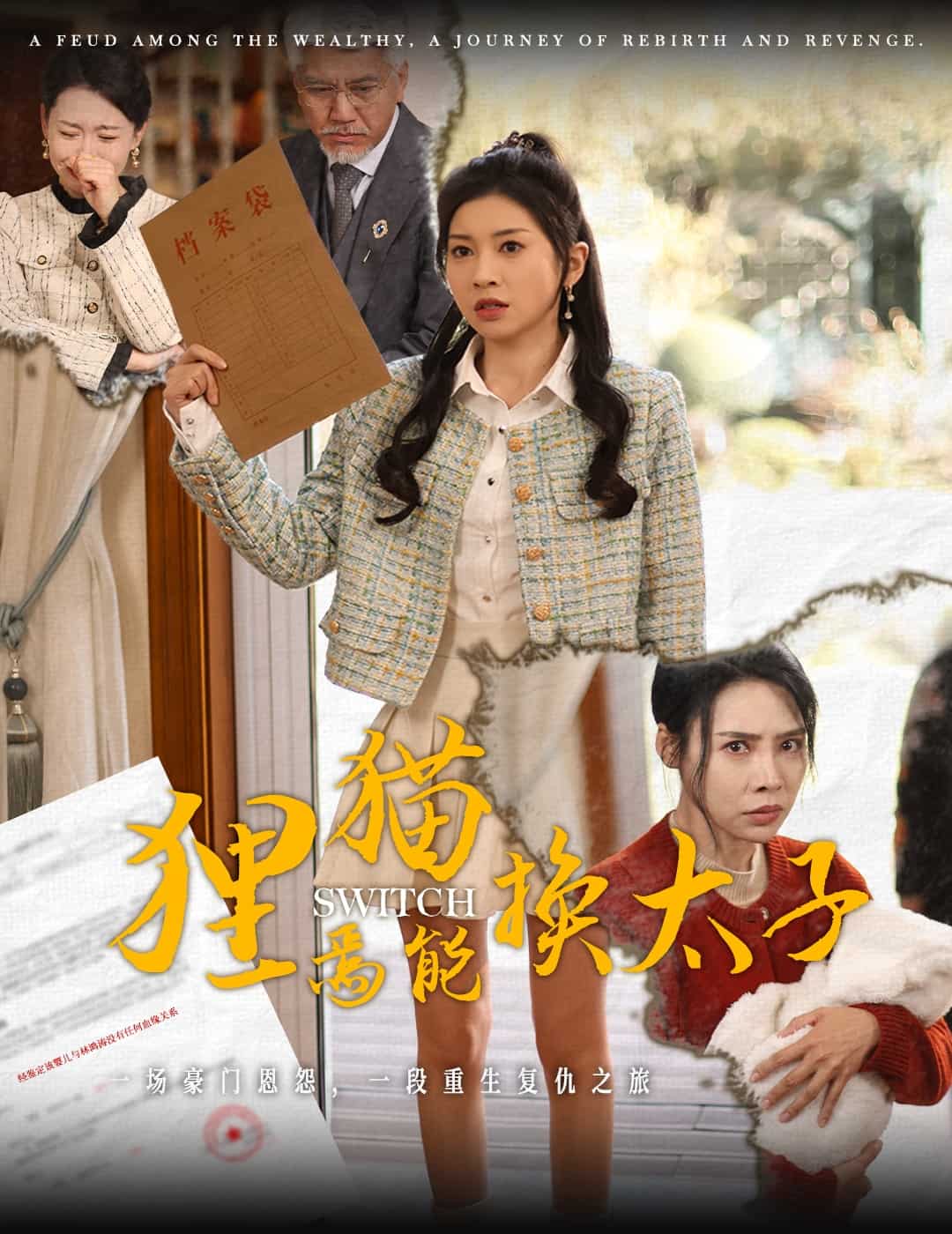 狸猫焉能换太子全集