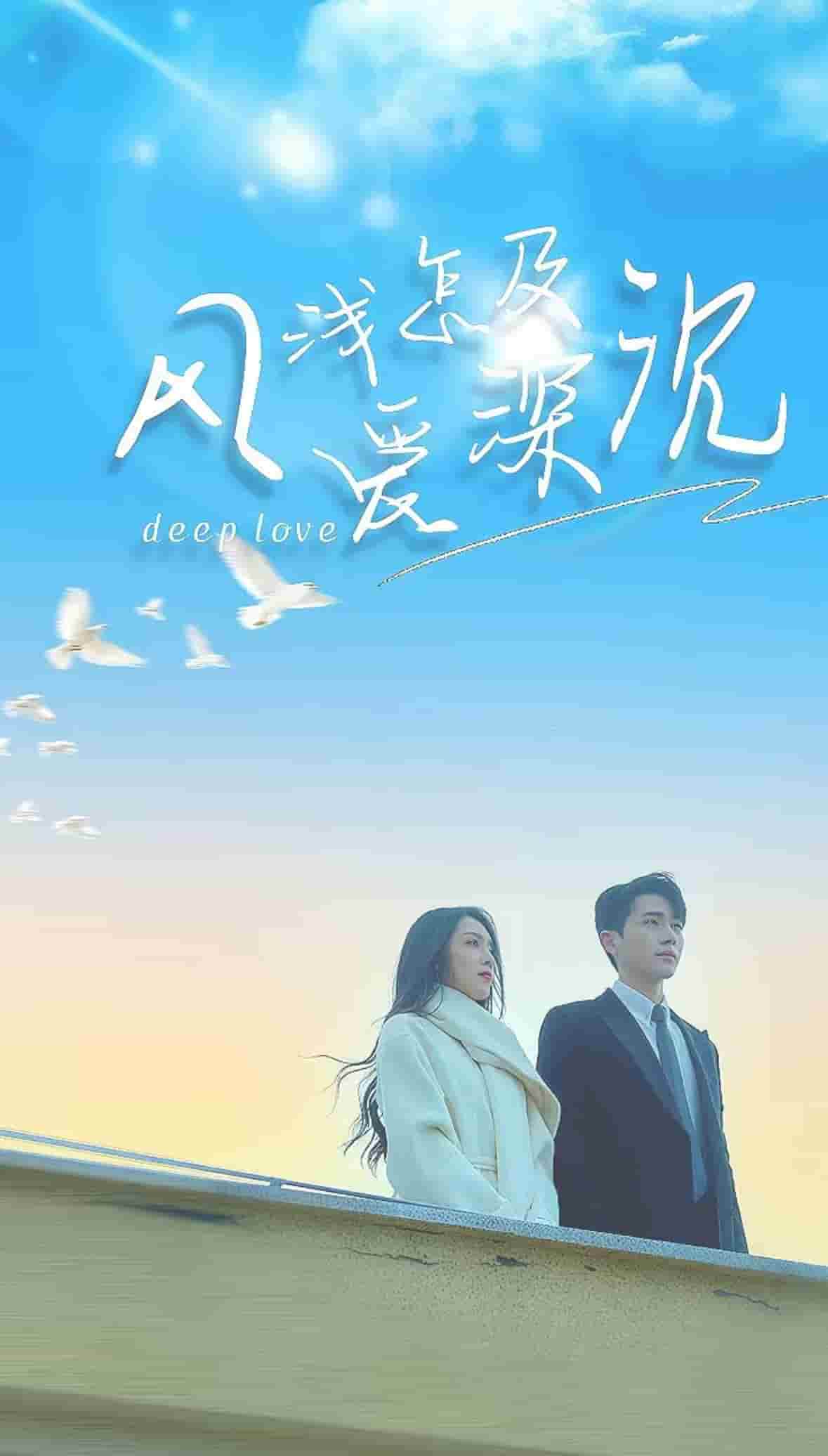 风浅怎及爱深沉全集