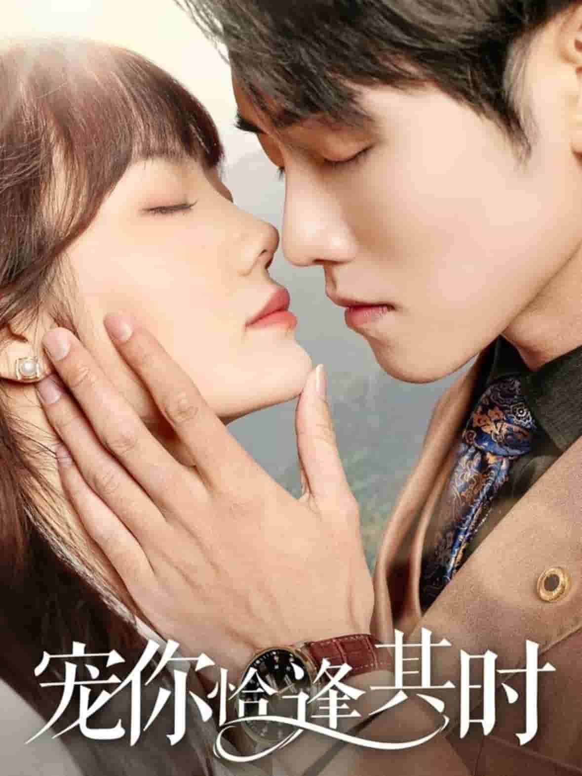 宠你恰逢其时全集