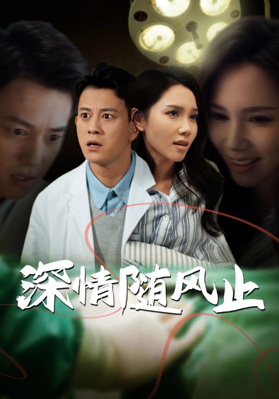 深情随风止全集