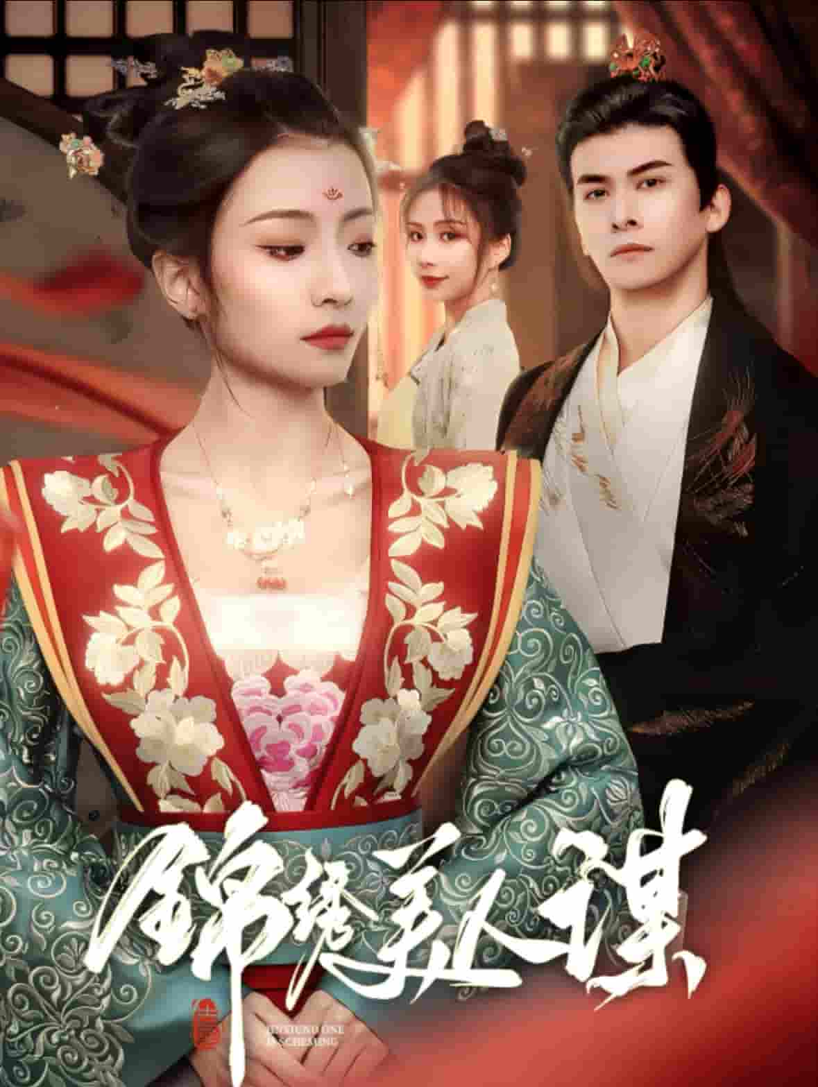 锦绣美人谋全集