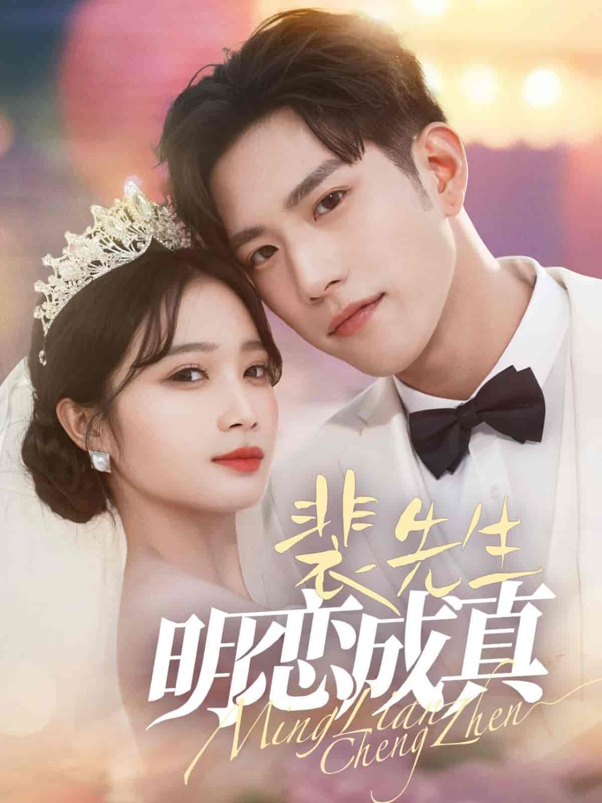 裴先生明恋成真全集