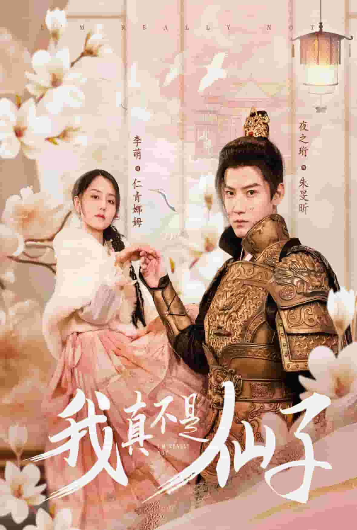 我真不是仙子全集