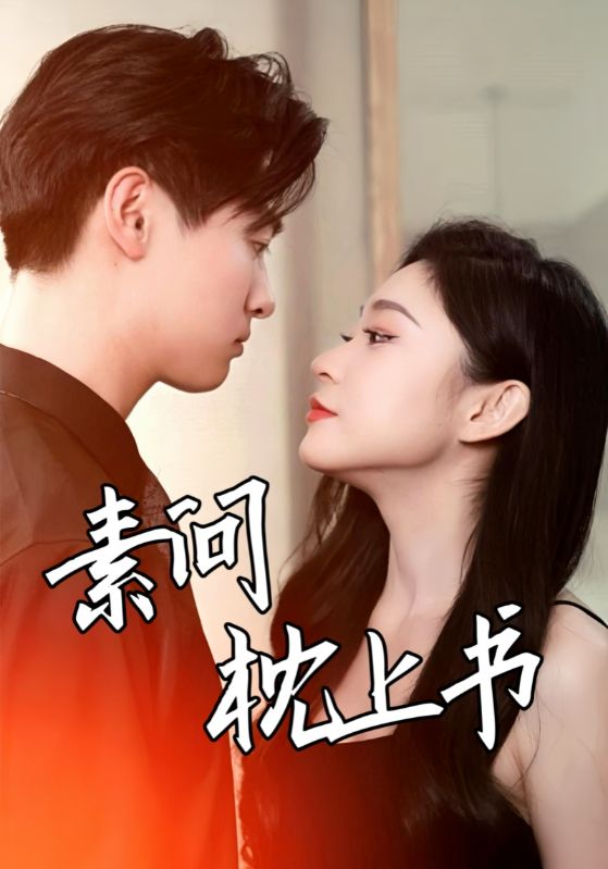 素问枕上书全集