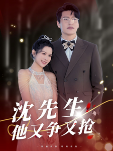 沈先生他又争又抢全集