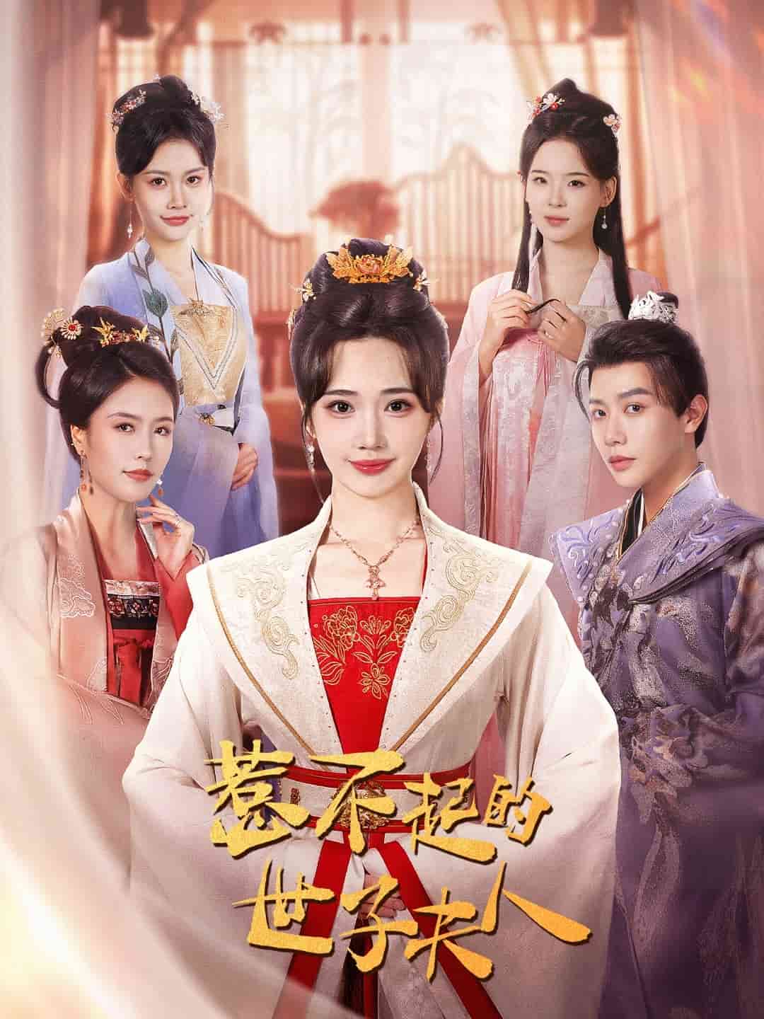 惹不起的世子夫人全集