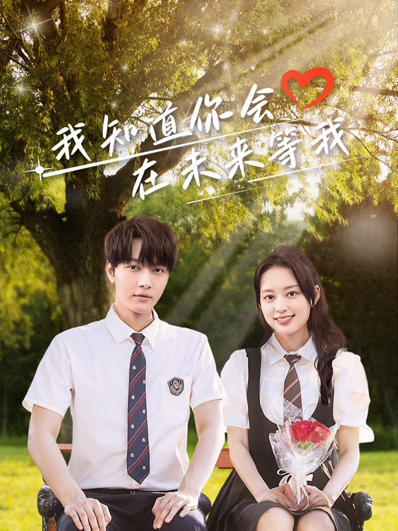 我知道你会在未来等我全集