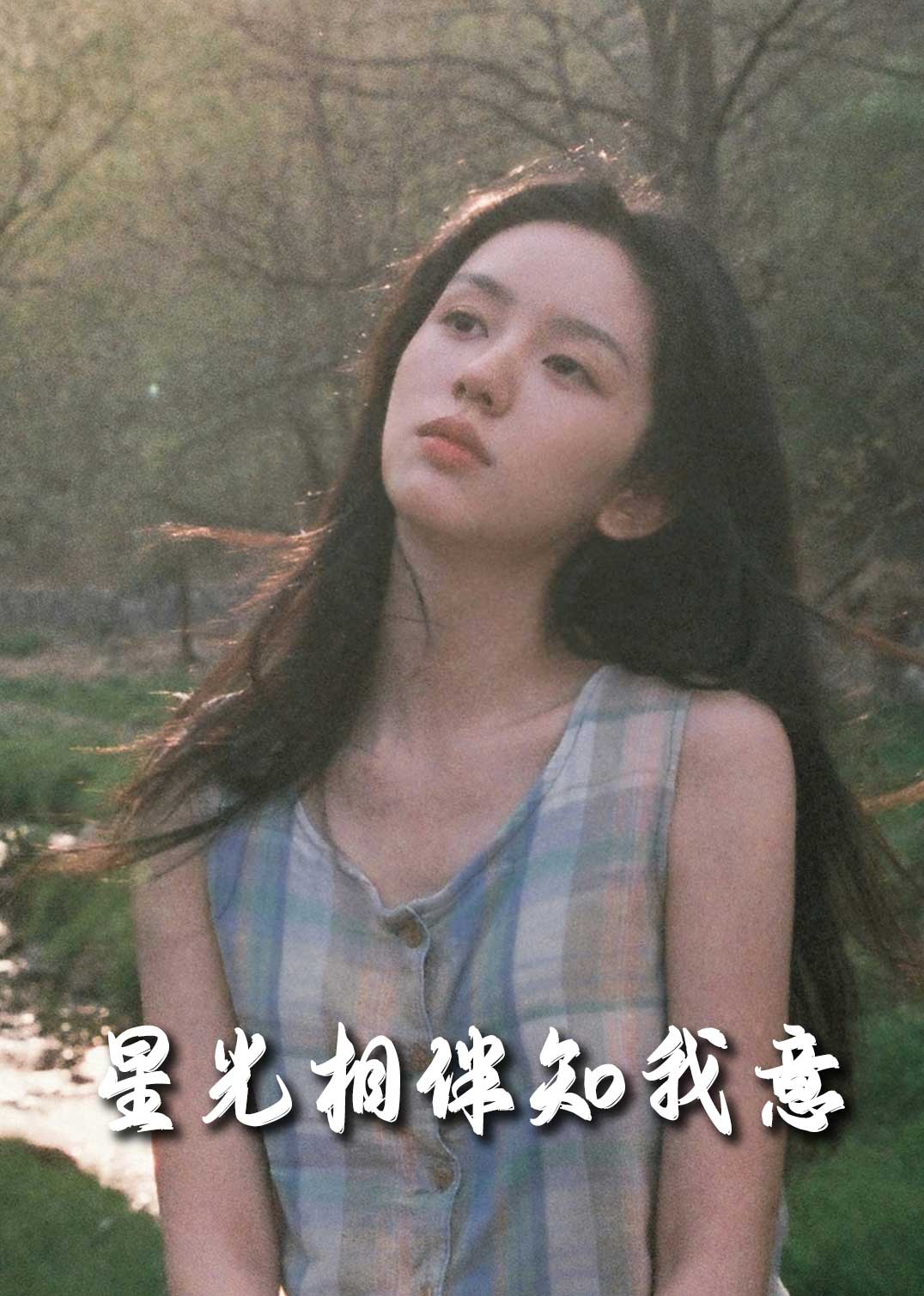 星光相伴知我意全集