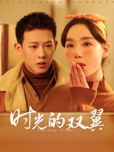 时光的双翼全集