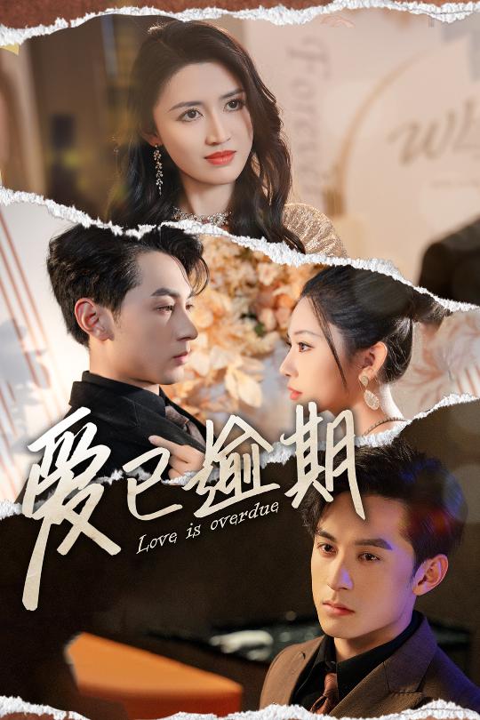 从此山海不相逢全集