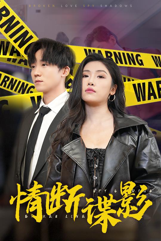 我的特工老婆全集