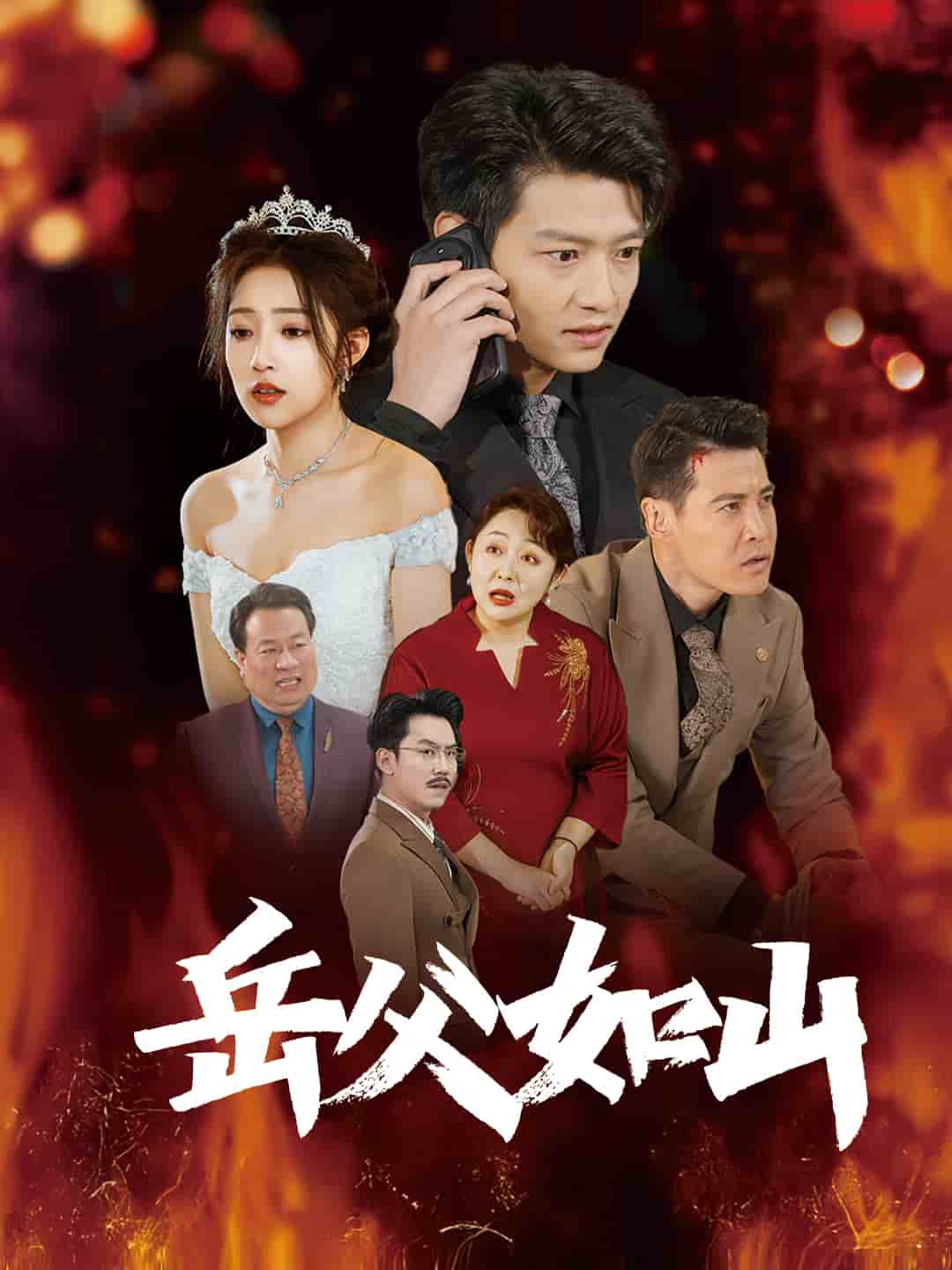 岳父的礼物全集