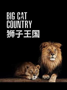 狮子王国全集