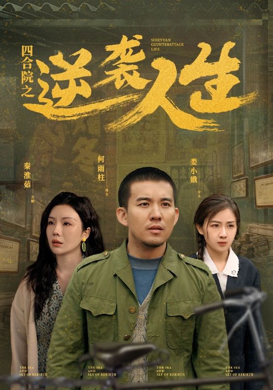 四合院之逆袭人生全集