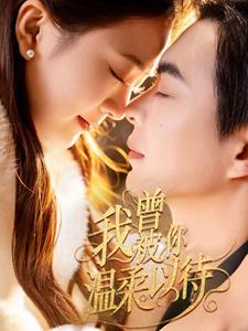 我曾被你温柔以待全集