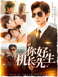 你好机长先生全集