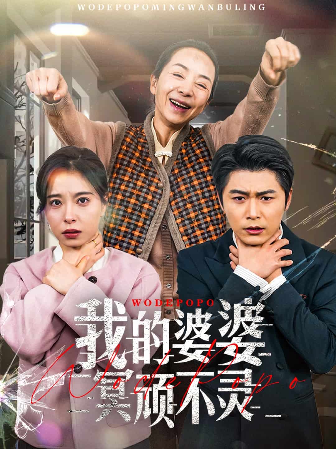 好心婆婆之事与愿违全集