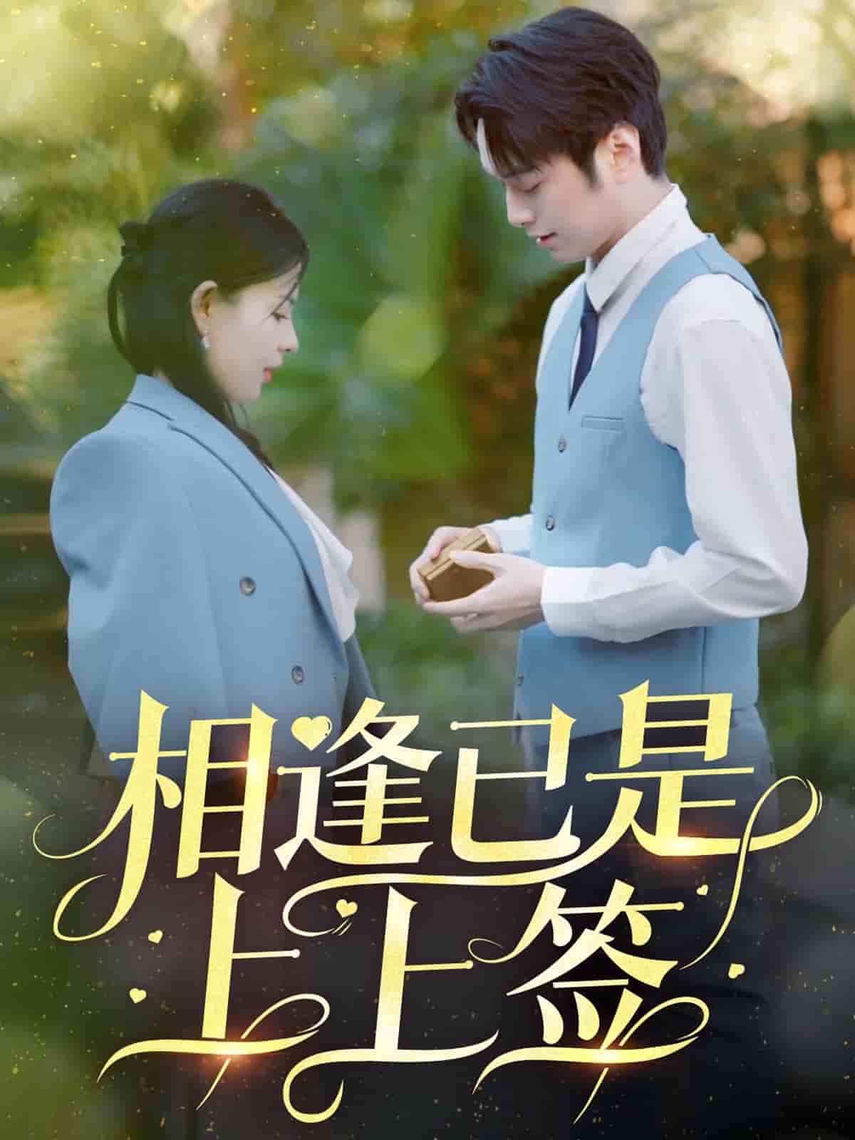 相逢已是上上签全集