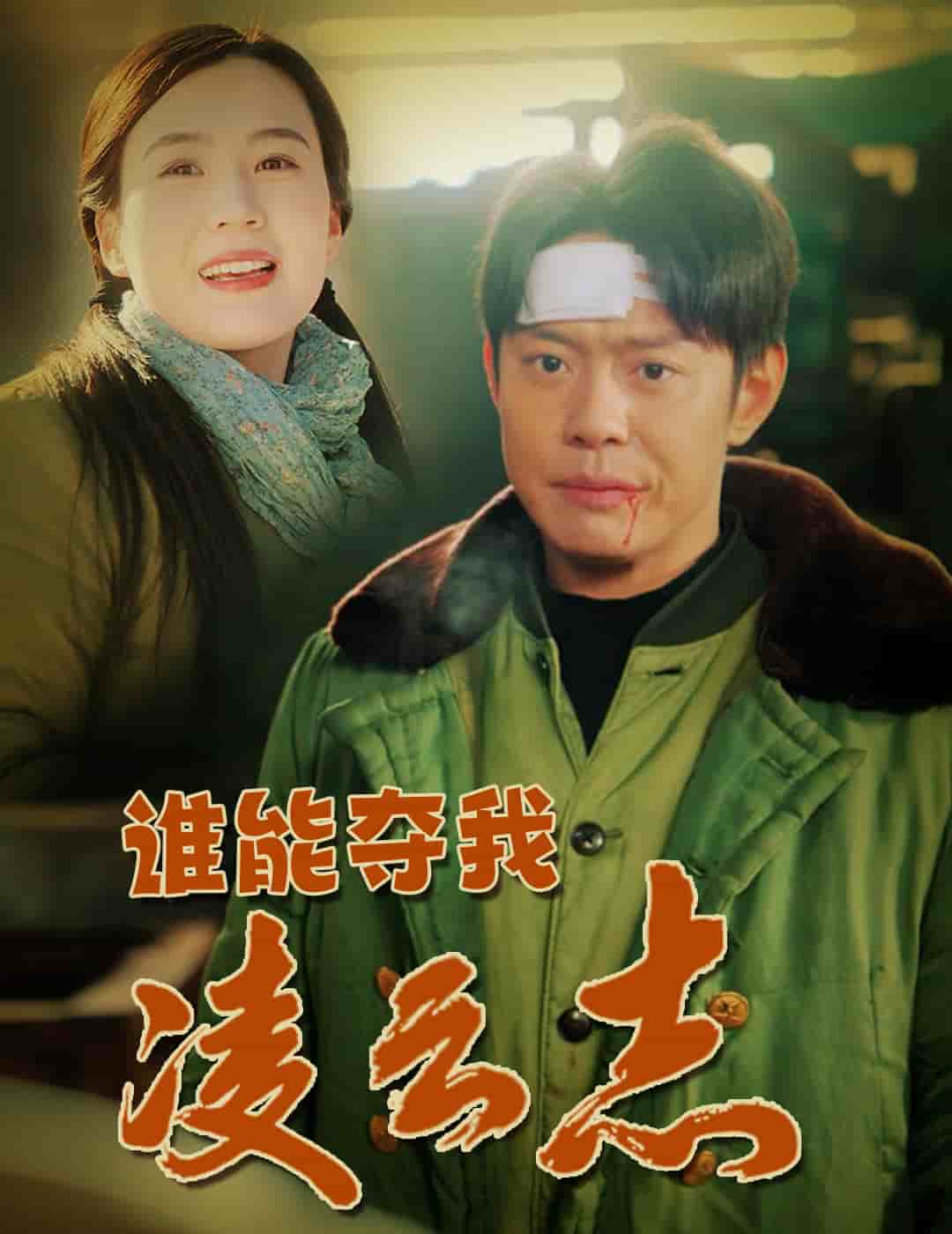 谁能夺我凌云志全集