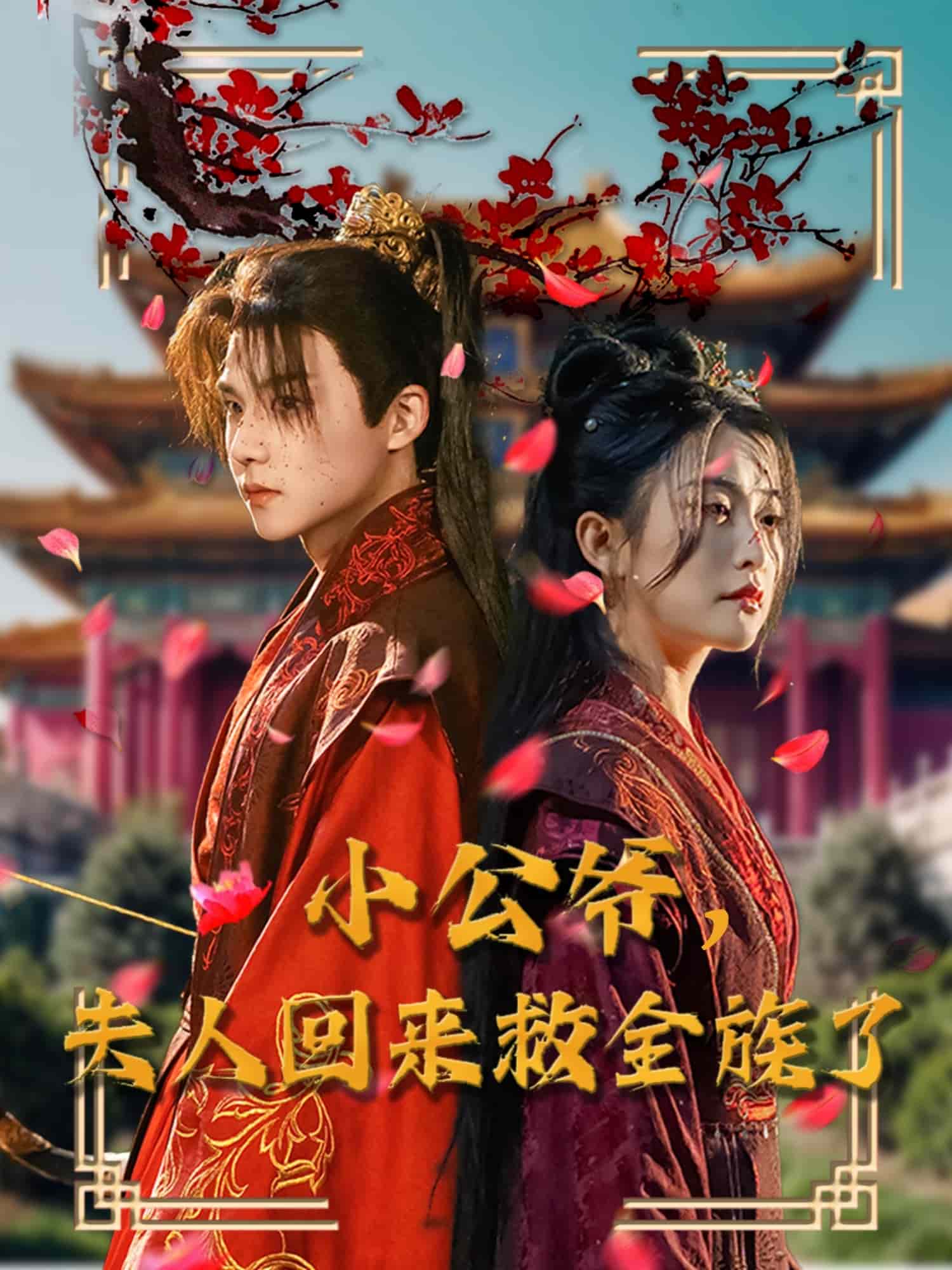 小公爷夫人回来救全族了全集