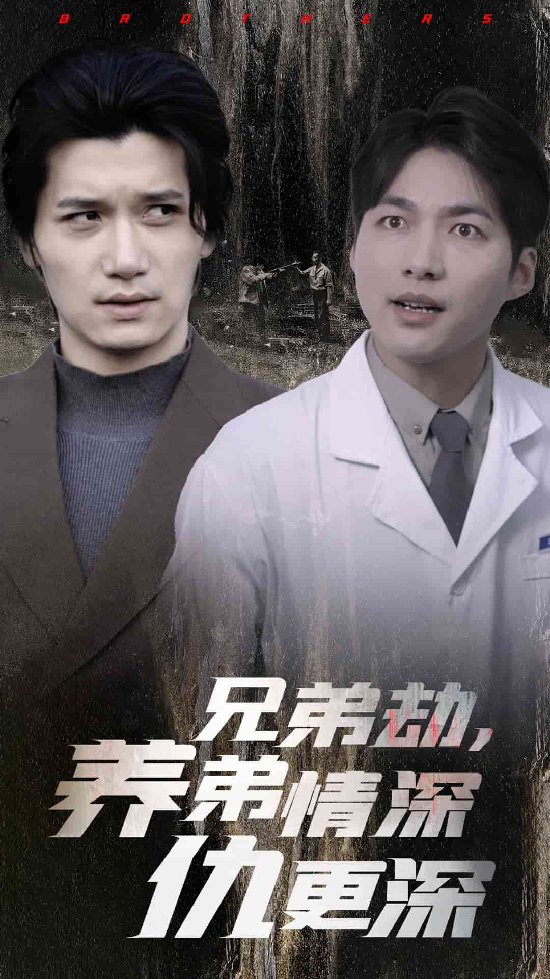 兄弟劫养弟情深仇更深全集