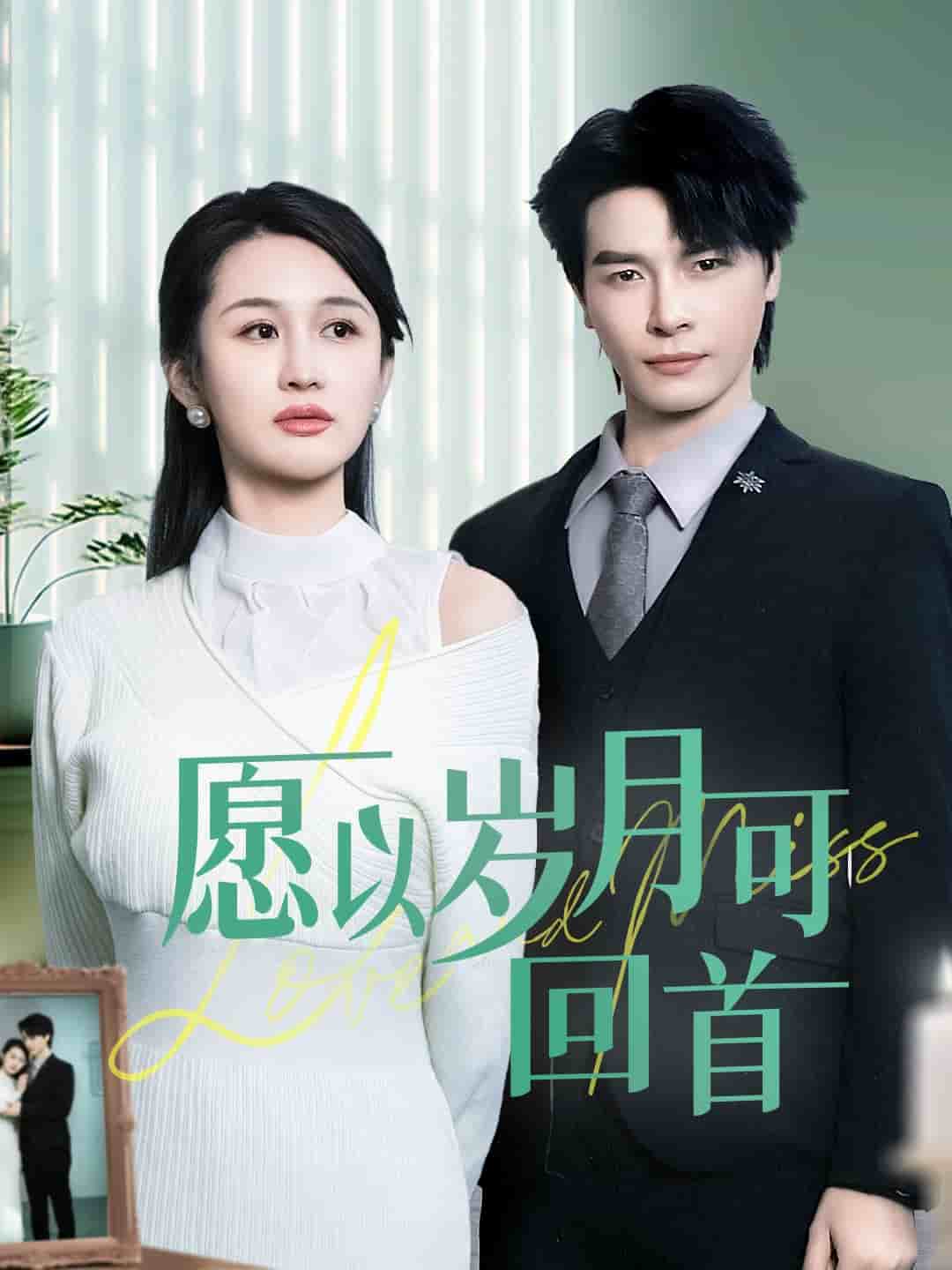 愿以岁月可回首全集