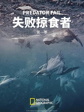 失败掠食者第一季全集