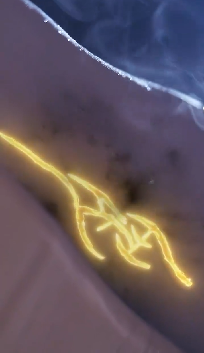 缘来仙妻就是你全集