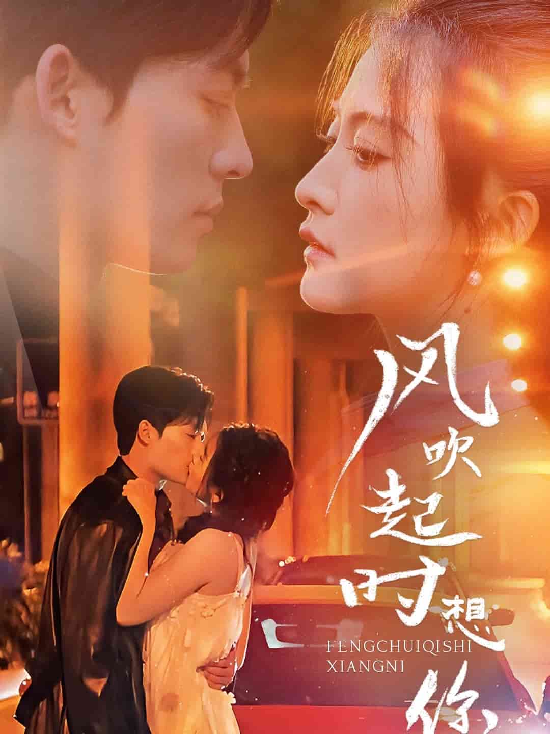 风吹起时想你全集