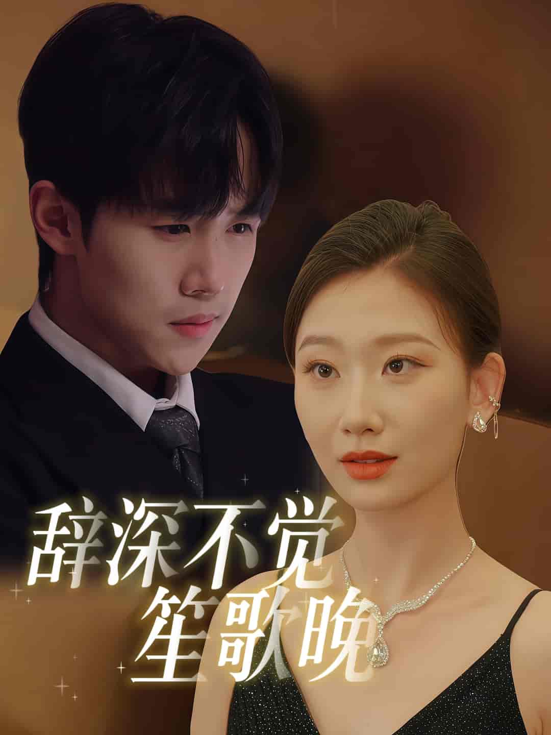 辞深不觉笙歌晚全集