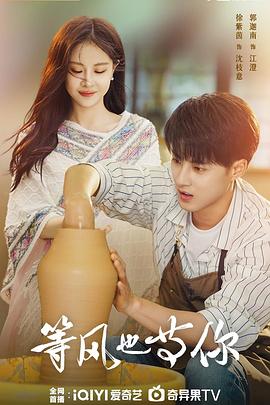 等风也等你全集