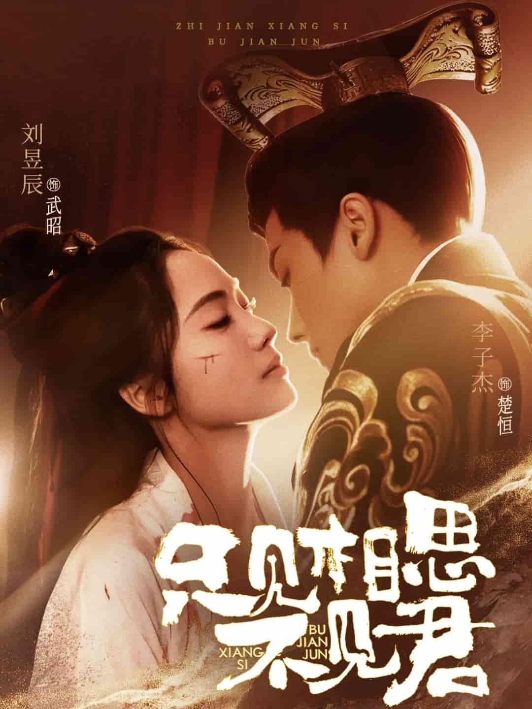 只见相思不见君全集