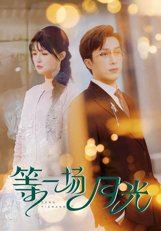 等一场月光全集