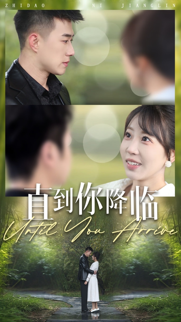 直到你降临全集