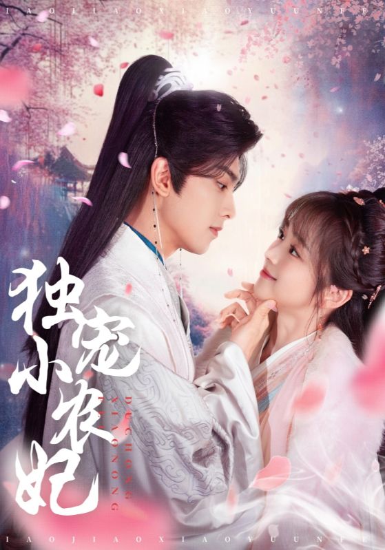 独宠小农妃全集