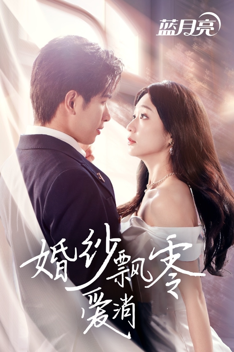 婚纱飘零爱消弭全集