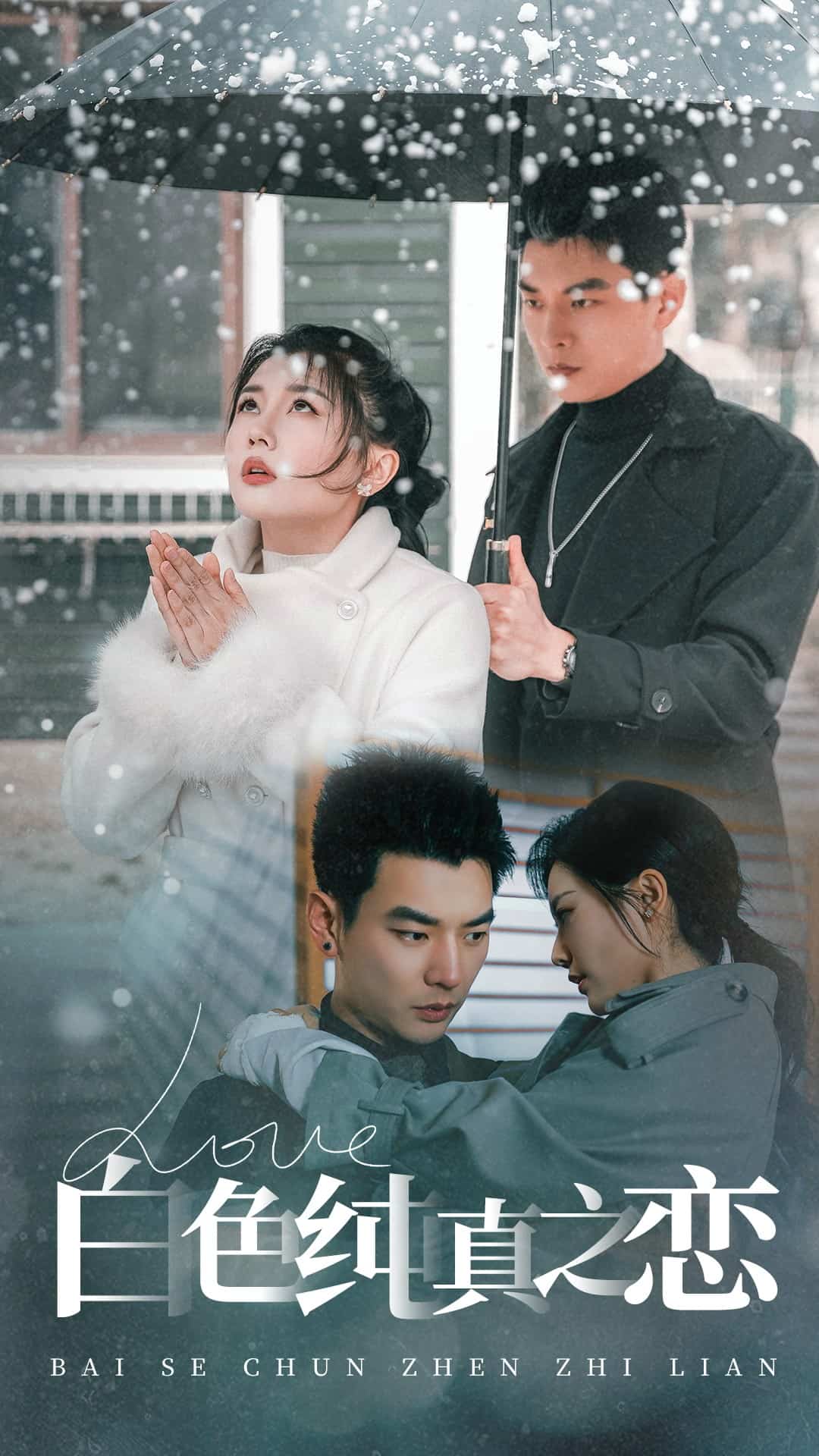 白色纯真之恋全集