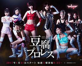 豆腐职业摔角全集